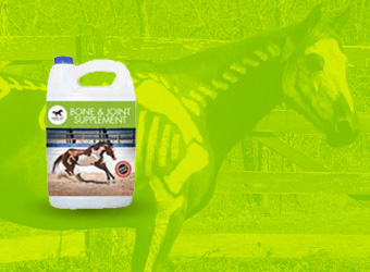horse pac