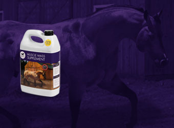 horse pac