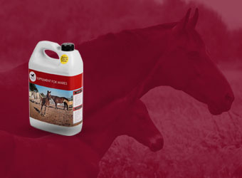horse pac