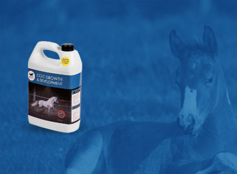 horse pac