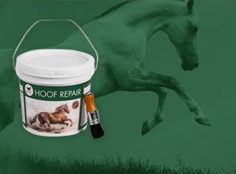 horse pac